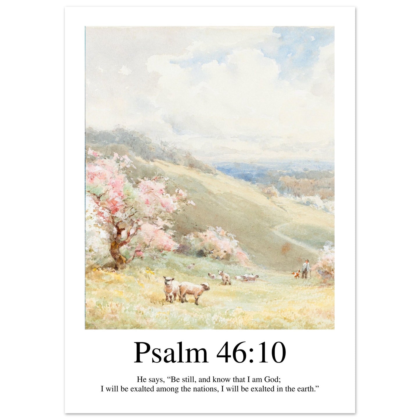 3c122dad-9dce-412a-b02f-5fd6381b506f