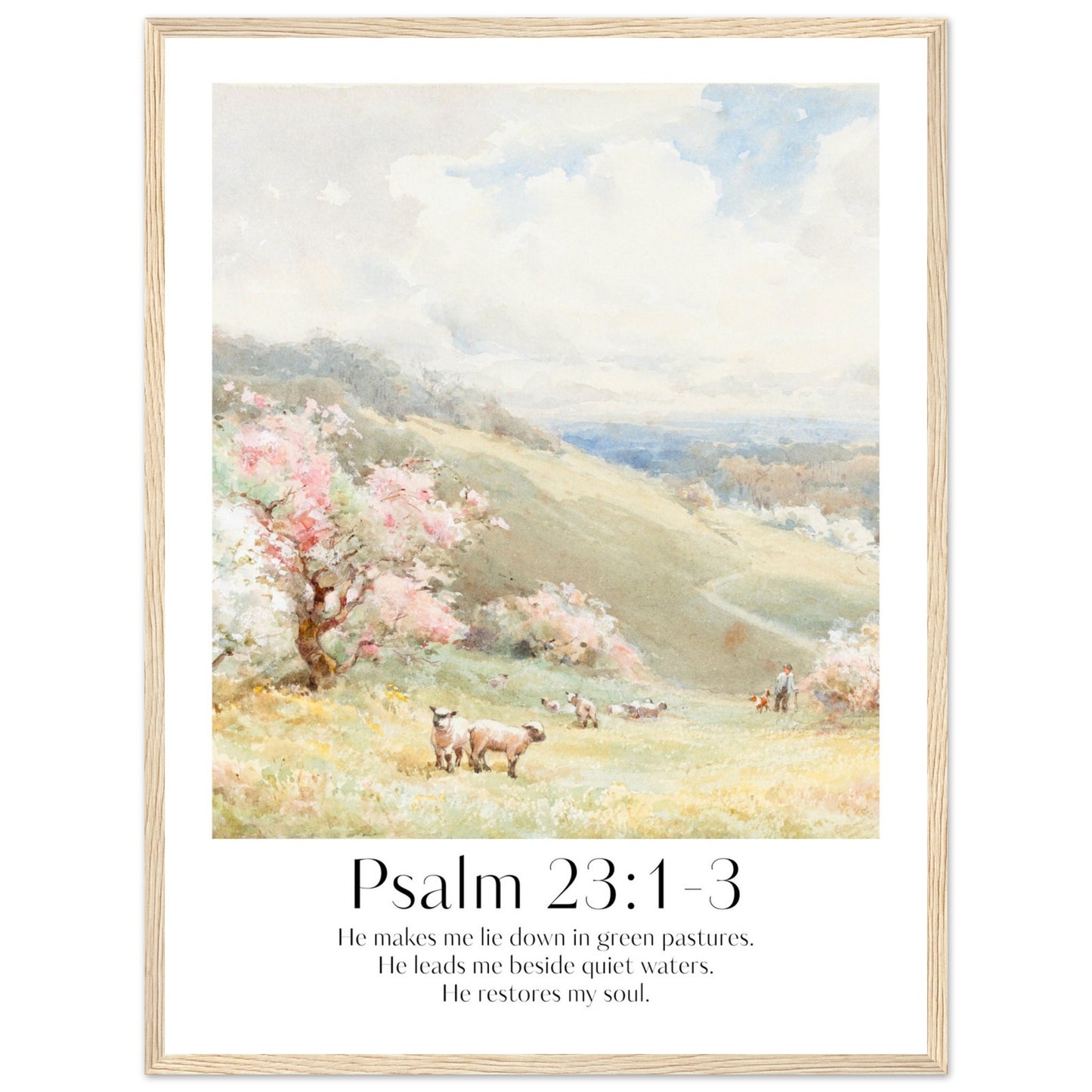 86287ccc-84a8-4c24-96f0-f111335fade2