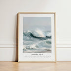 Proverbs 3:5-6 | Contemporary