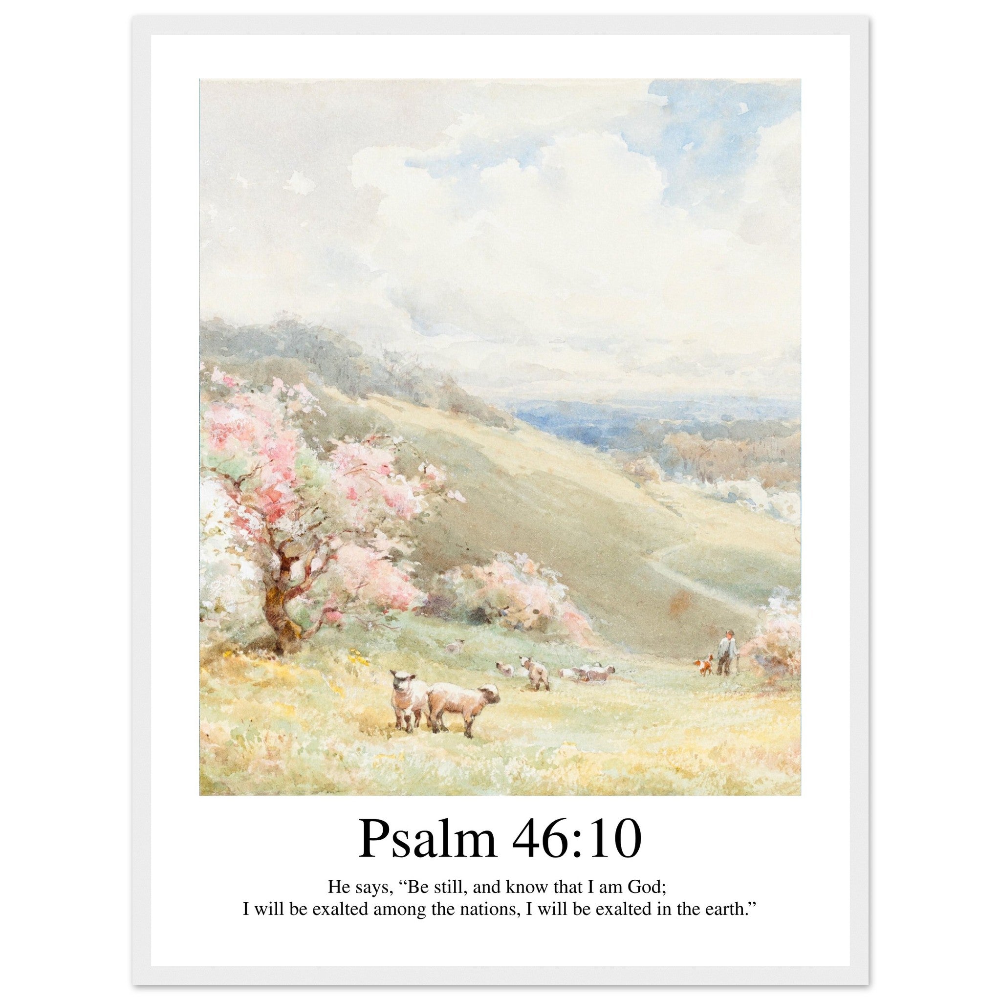 6d986d35-3b70-4f78-bc83-a9408476e232