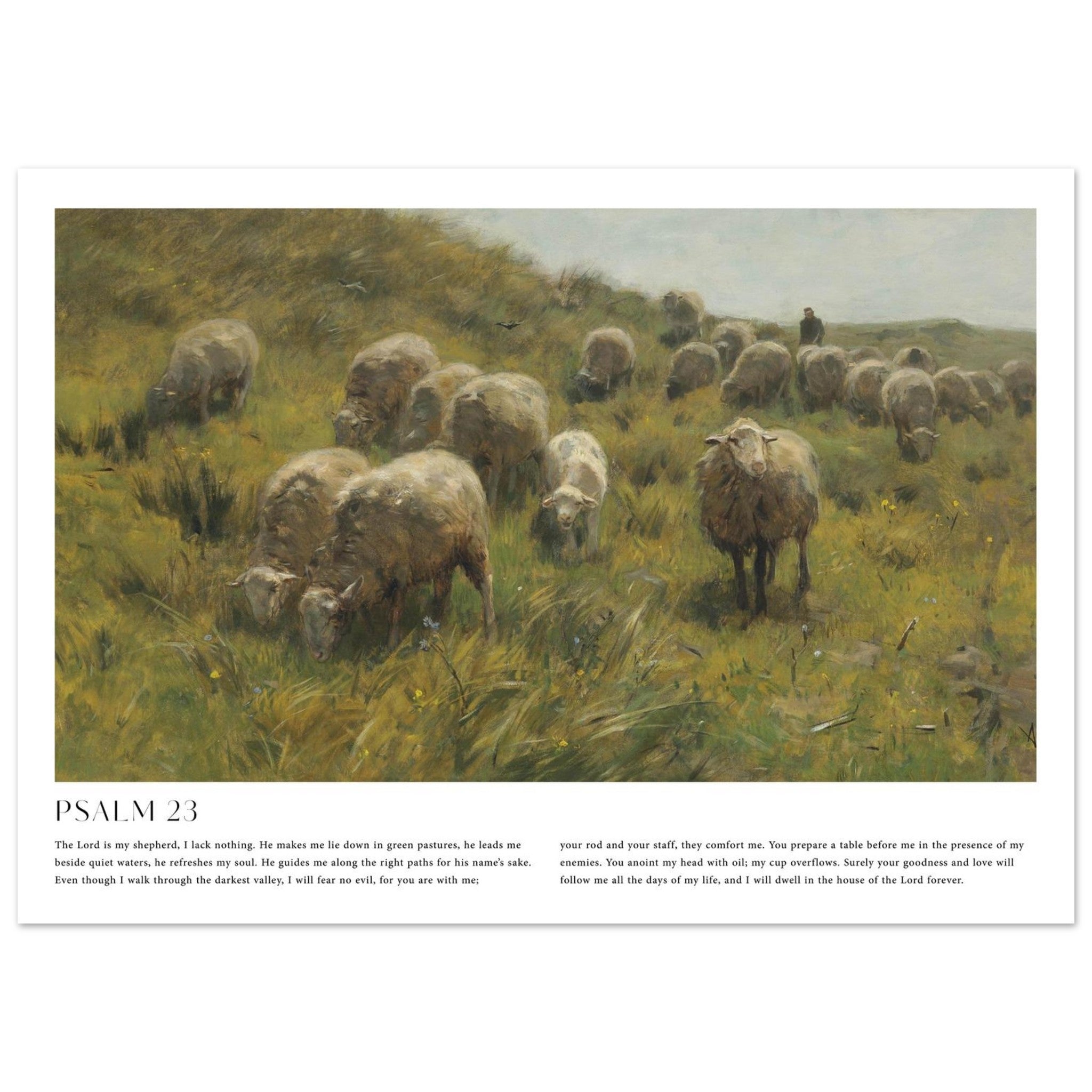71cd0afb-d877-4737-ade9-b24159f508d1