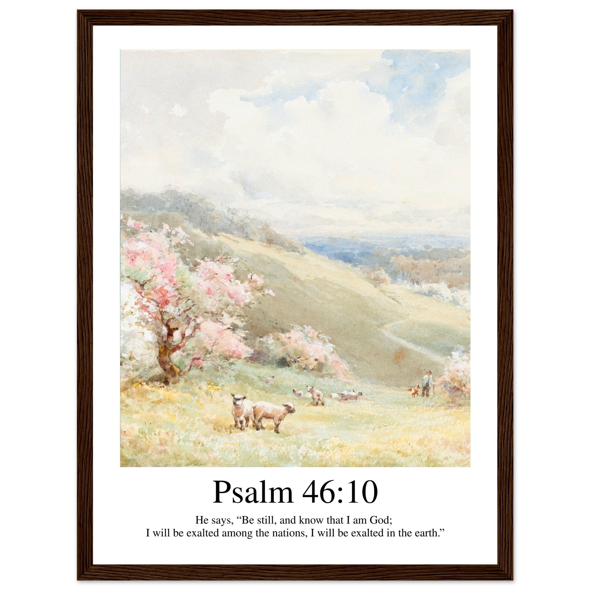 883ac558-bd1b-47cd-9577-0156face2cba