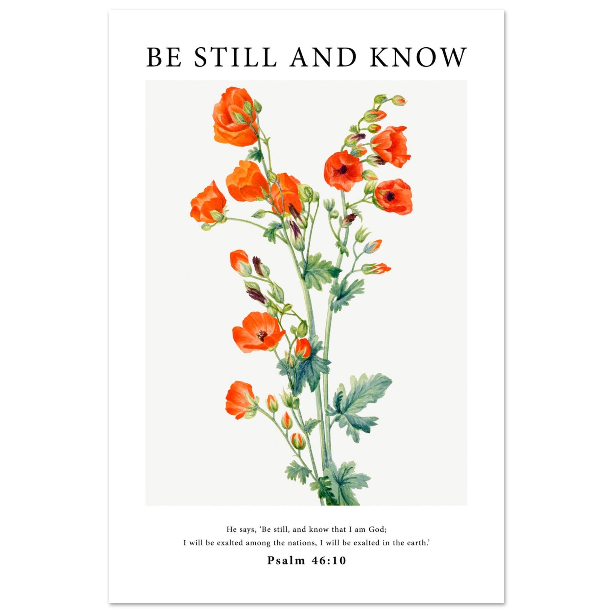 Be Still And Know Print - The Christian Art Company