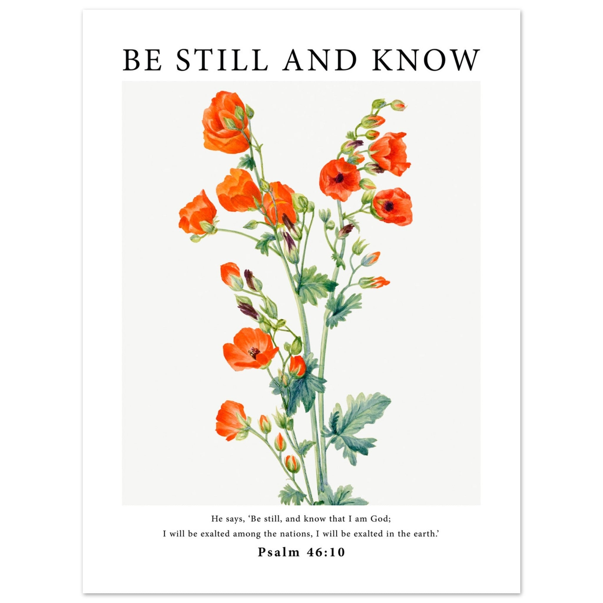 Be Still And Know Print - The Christian Art Company