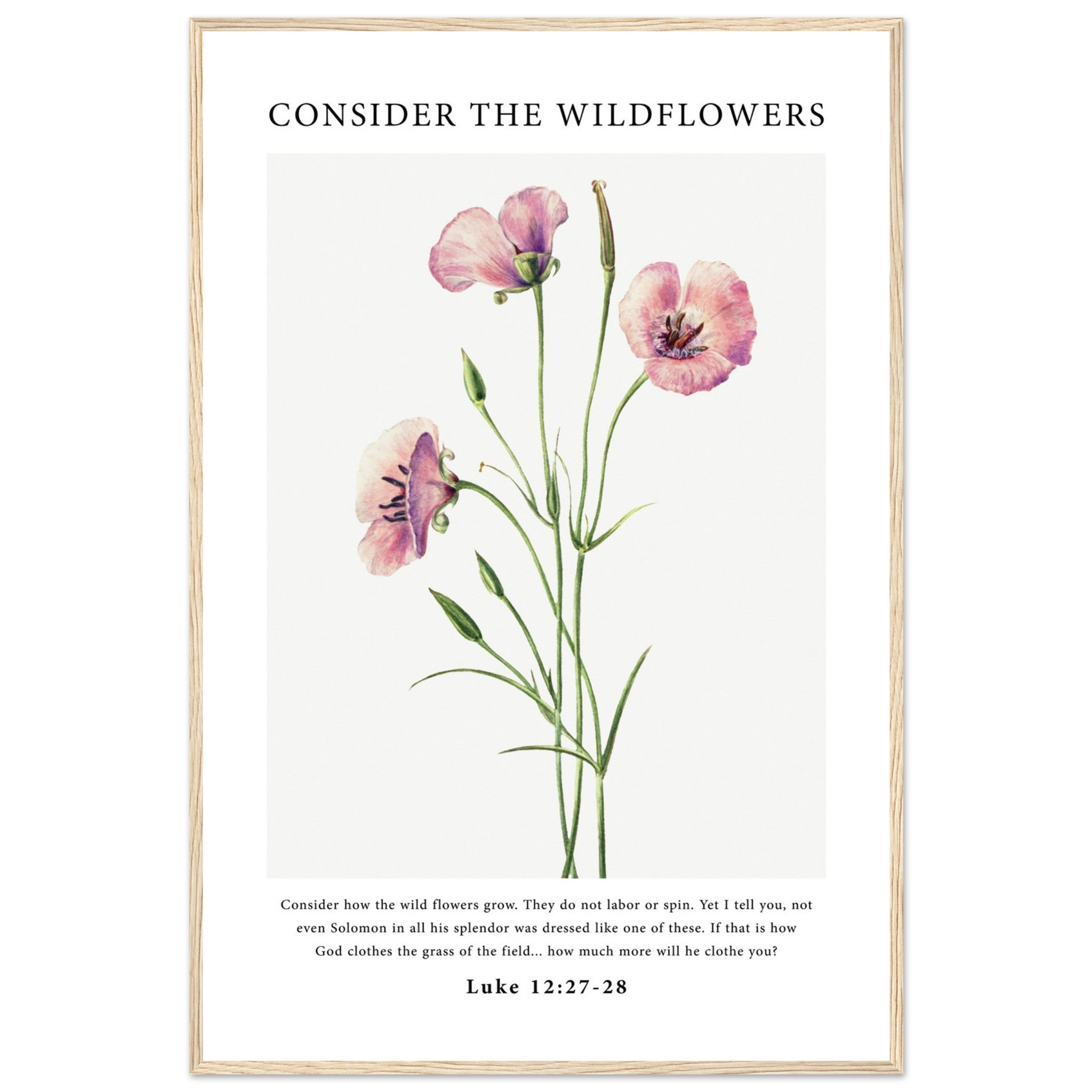 Consider The Wildflowers Print - The Christian Art Company