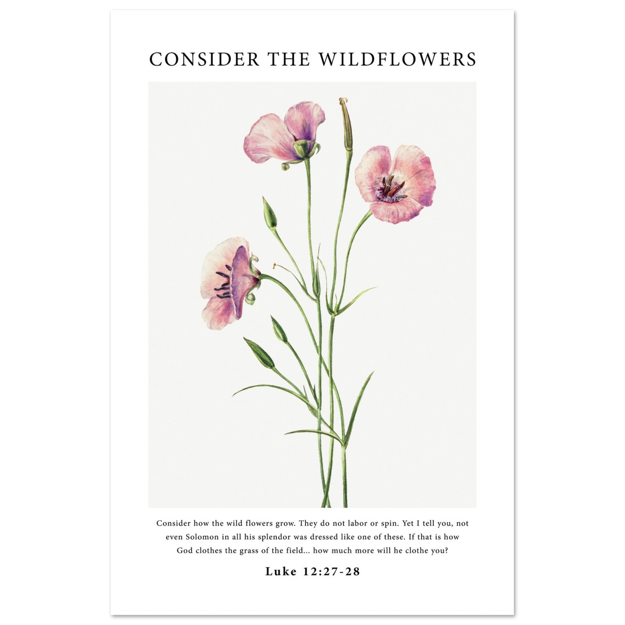 Consider The Wildflowers Print - The Christian Art Company