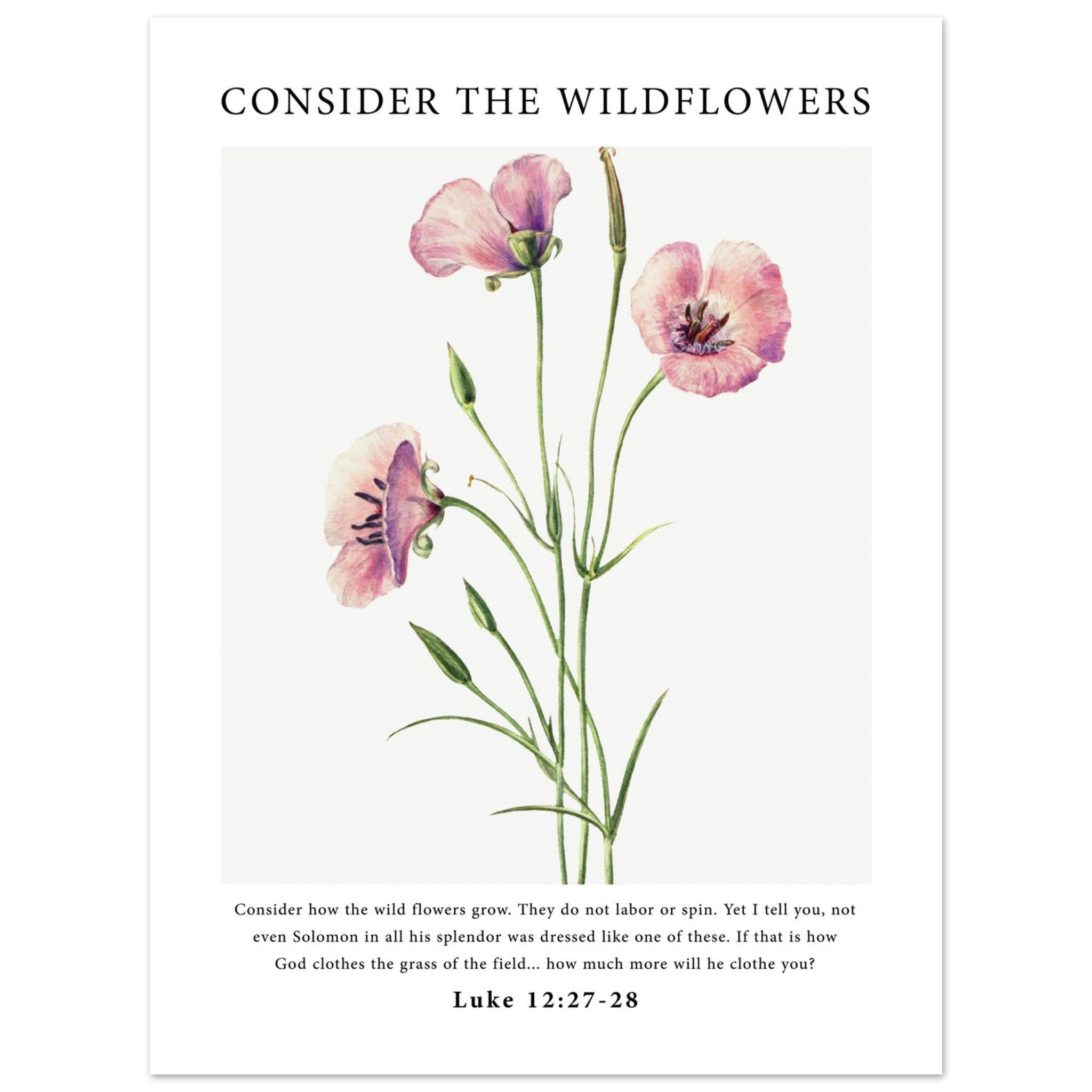 Consider The Wildflowers Print - The Christian Art Company