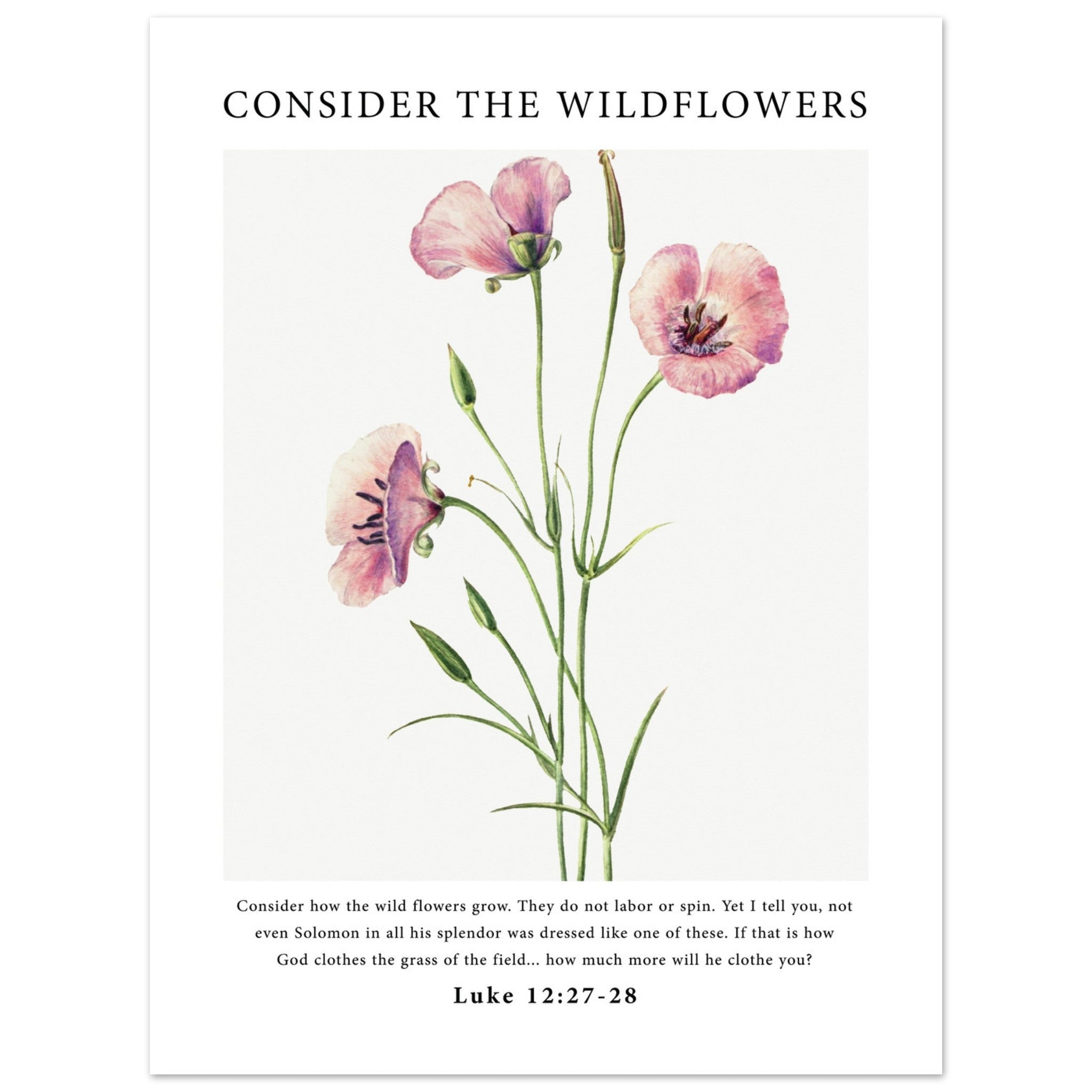 Consider The Wildflowers Print - The Christian Art Company