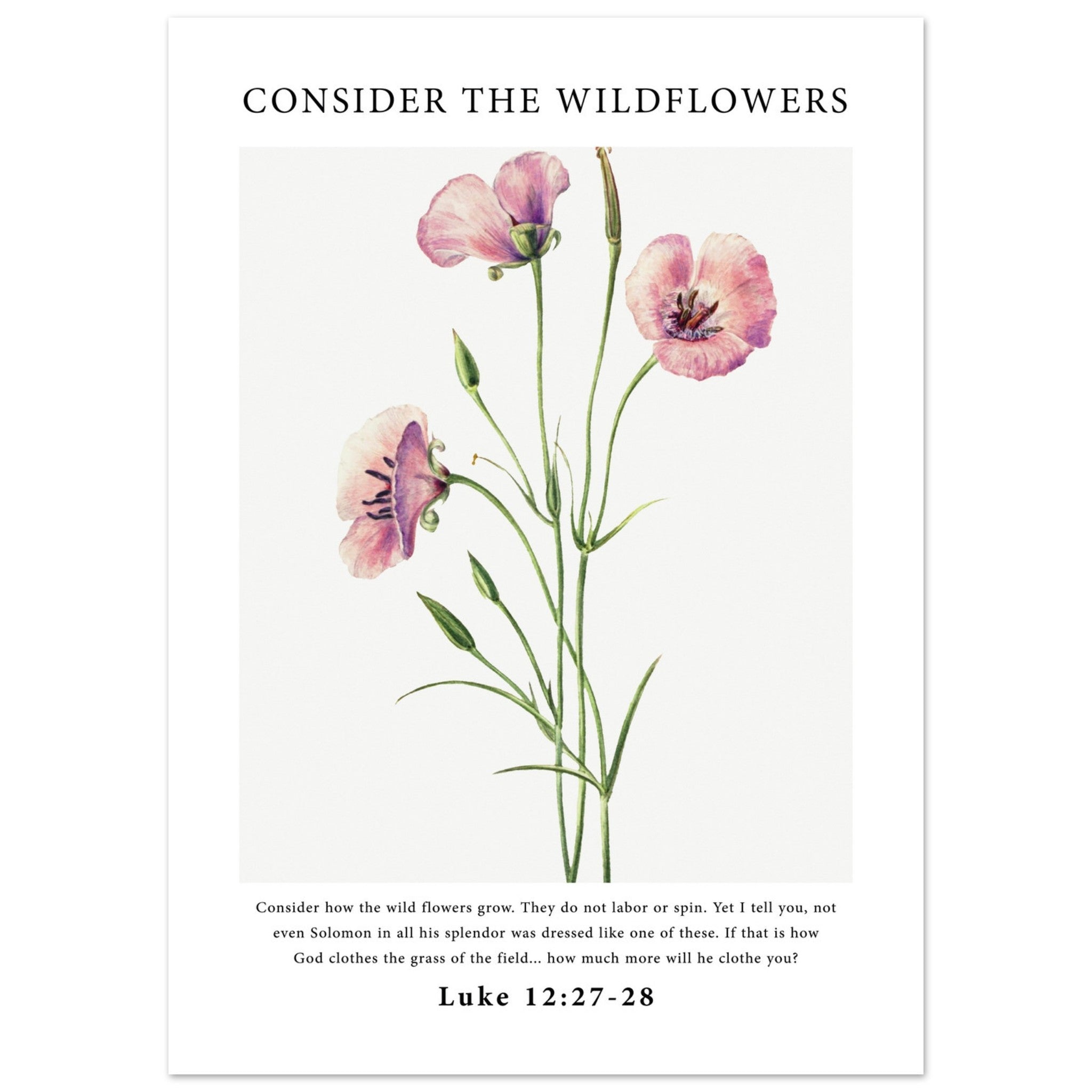 Consider The Wildflowers Print - The Christian Art Company