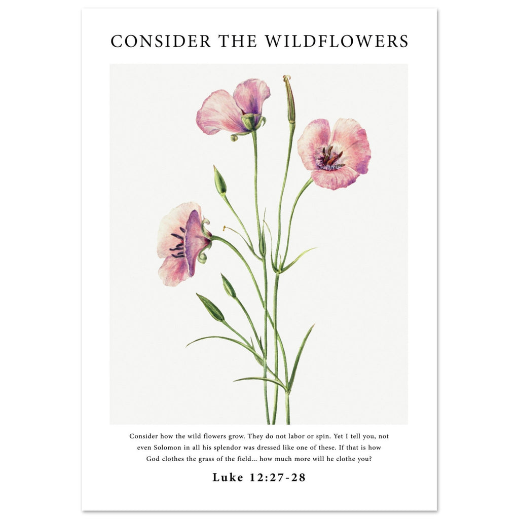 Consider The Wildflowers Print - The Christian Art Company