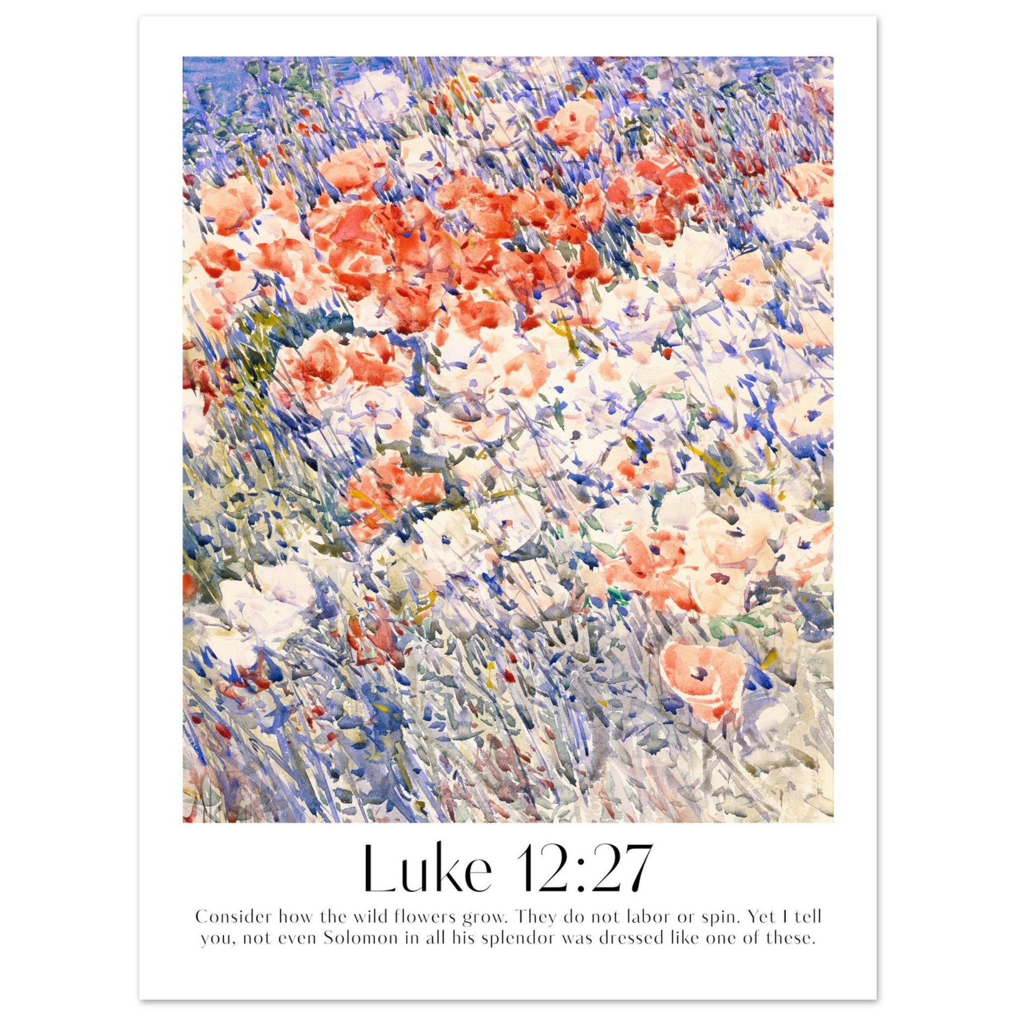 Luke 12:27 Print - The Christian Art Company