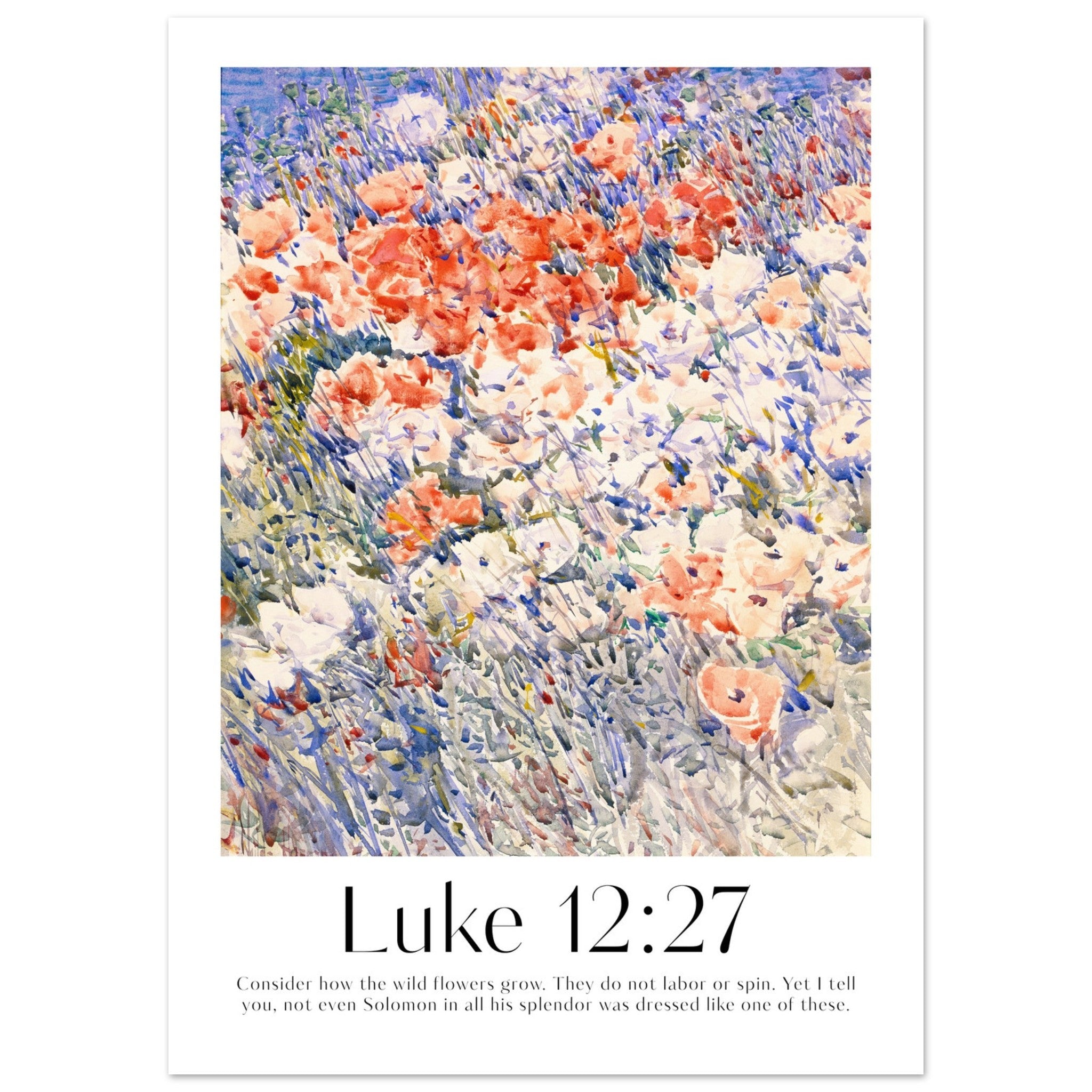 Luke 12:27 Print - The Christian Art Company