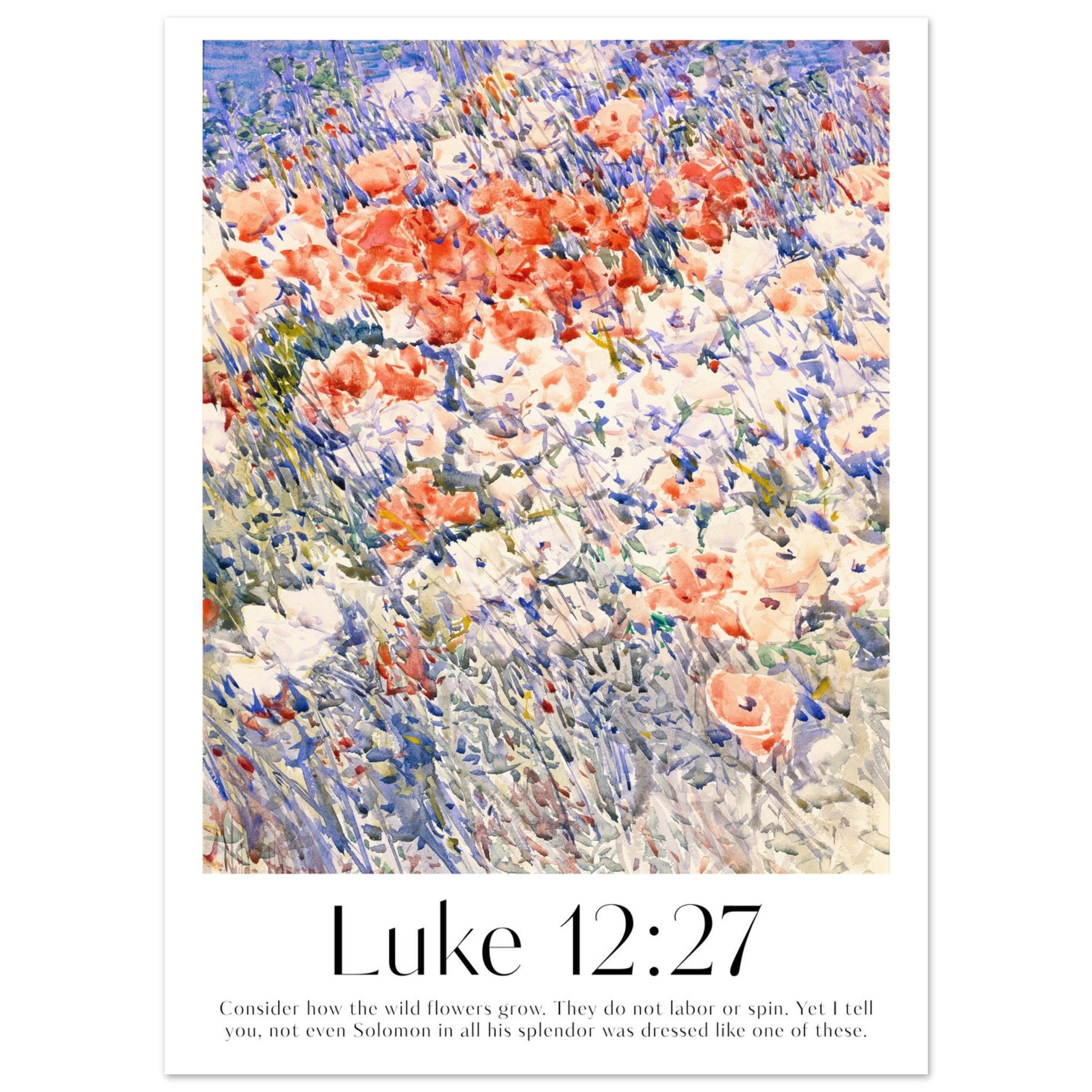 Luke 12:27 Print - The Christian Art Company