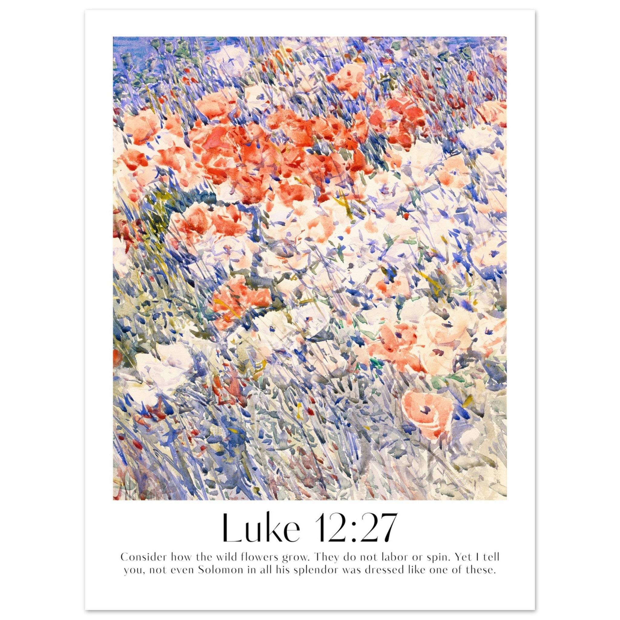 Luke 12:27 Print - The Christian Art Company